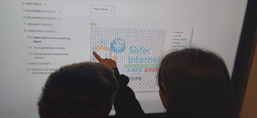 Güvenli İnternet Günü / Safer Internet Day